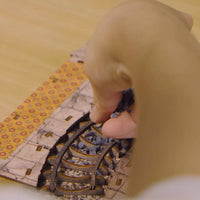 Booknook Lab Ha Noi Train Coffee Street DIY kit - Viet Nam DIY kit - BN014